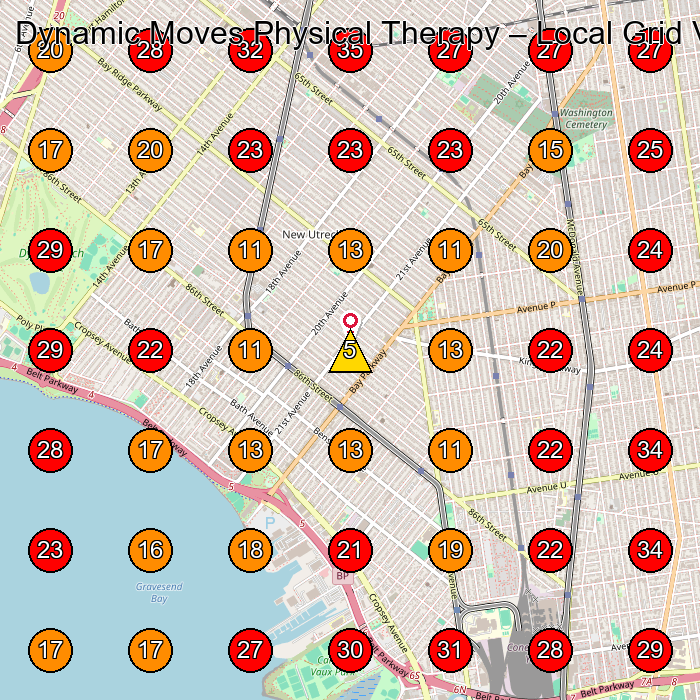Dynamic Moves Physical Therapy GeoGrid visibility map for Physical Therapist in Brooklyn